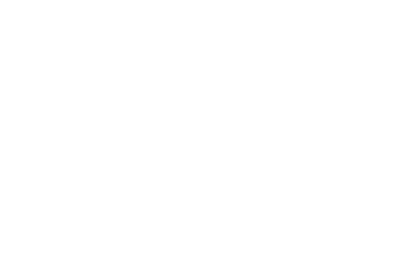 SASSY